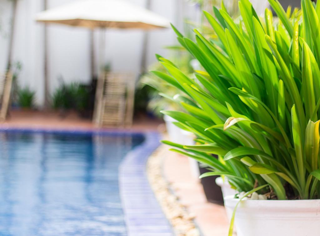 Overflow Guesthouse Siem Reap Exterior foto